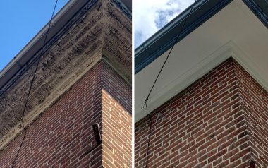 Carpentry Repair & Trim Painting Services