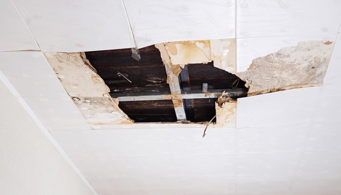 Drywall Repair Services