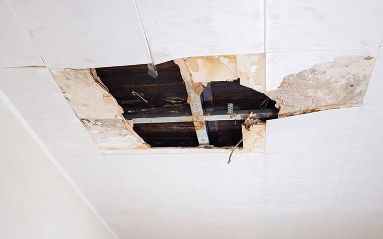 Drywall Repair Services