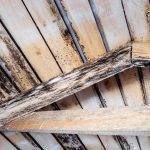 Preventing Rotted Wood