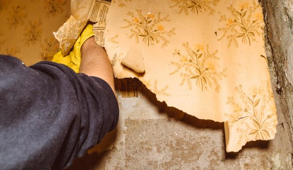 Wall Paper Removal & Installation Services